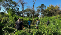 Astaga! Pegawai Bali Safari and Marine Park Diseruduk Gajah hingga Meninggal Dunia - GenPI.co