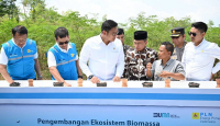 Kembangkan Bahan Co-Firing Biomassa, PLN-Kementan Luncurkan Model Pertanian Terpadu - GenPI.co