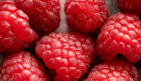 Raspberry, Buah Kecil dengan Manfaat Besar untuk Kesehatan - GenPI.co