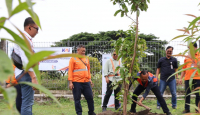 Dari Tabebuya hingga Mangga, Daop 6 Yogyakarta Tanam Pohon di 8 Stasiun - GenPI.co