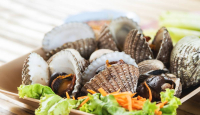 Kerang Lezat dan Bergizi, Tetapi Bisa Picu Alergi - GenPI.co