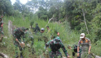 30.000 Tanaman Ganja Ditemukan di Mandailing Natal, Langsung Dimusnahkan - GenPI.co
