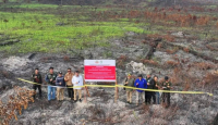 Kebakaran Hutan 400 Ha, 2 Perusahaan Konsesi di Kalbar Disegel dan Terancam Pidana - GenPI.co
