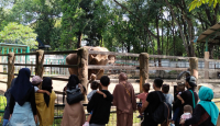 3 Hari Lebaran, Pengunjung Taman Margasatwa Ragunan Capai 89 Ribu - GenPI.co
