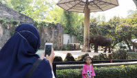 Ini Spot Favorit Pengunjung di Taman Margasatwa Ragunan - GenPI.co