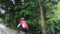 Trotoar Lingkar Kebun Raya, Tempat Olahraga Asyik di Bogor - GenPI.co