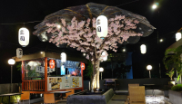 Keren, Hanami Cafe Konsepnya Jepang Banget, Menu Endes - GenPI.co
