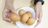 Telur Rebus vs Omelet, Mana yang Lebih Bernutrisi? - GenPI.co