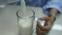 Tips Minum Susu Segar Pasteurisasi untuk Orang Dewasa - GenPI.co