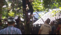 Pria Buleleng Bali Tewas Bunuh Diri, Polisi Ungkap Fakta Ini - GenPI.co Bali