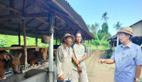 Bukan Pariwisata, Pastika Desak Warga Bali Beralih ke Pertanian - GenPI.co Bali