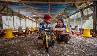 Survei BRI: Inflasi Naik, Bisnis UMKM Tetap Tumbuh - GenPI.co Bali