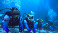 Pulihkan Ekosistem Wisata Laut di Aceh, Pekerja BRI Lakukan Transplantasi Terumbu Karang di Perairan Kepulauan Sabang - GenPI.co Bali