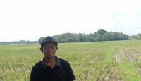Pompa Air Rusak, Petani di Lebak Tak Bisa Tanam Padi Saat Kemarau - GenPI.co Banten