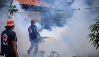 Ada Kasus Chikungunya, Warga Tangerang Diminta Waspada - GenPI.co Banten
