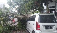 Sebuah Mobil Tertimpa Pohon Besar di Bogor, Begini Nasibnya - GenPI.co Jabar