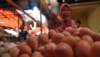 Warga Depok Pusing Harga Telur Ayam To The Moon - GenPI.co Jabar