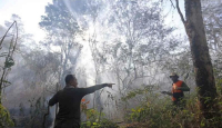 Kebakaran di Gunung Ciremai Belum Padam - GenPI.co Jabar