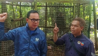 Bogor Mini Zoo Ditutup Sementara, ini Penyebabnya - GenPI.co Jabar