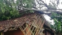 Hati-Hati Warga Sukabumi, Angin Kencang Terjadi di Sejumlah Kecamatan - GenPI.co Jabar