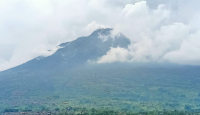 Waduh! 50 Hektare Taman Nasional Gunung Merapi Rusak - GenPI.co Jateng