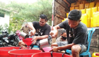 8.000 Liter Minyak Goreng Curah Murah Masuk Kudus - GenPI.co Jateng
