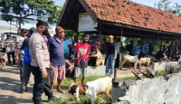 Ratusan Hewan Ternak Terkena PMK, 3 Pasar di Kendal Ini Ditutup - GenPI.co Jateng