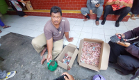Nyesek Pol! Disimpan di Celengan Plastik, Uang Tabungan Milik Penjaga Sekolah di Solo Rusak Dimakan Rayap - GenPI.co Jateng