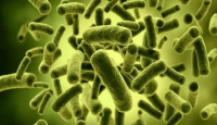 Sstt! Ternyata Tidak Semua Bakteri Jahat untuk Tubuh, Lho - GenPI.co Jateng