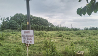 Harga Tanah untuk Rumah Presiden Jokowi di Colomadu Karanganyar Rp 15 Juta/Meter Persegi - GenPI.co Jateng