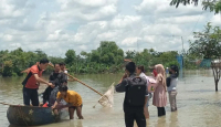 Bikin Sedih! Banjir Rendam Ribuan Hektare Sawah di Sragen - GenPI.co Jateng