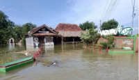 Astaga! 1 Desa di Pati Masih Tergenang Banjir - GenPI.co Jateng