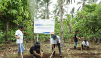 Menanam Tanaman Produktif di Lahan Sempit, BRI Grow & Green Berdayakan Dua Kelompok Tani di Bali - GenPI.co Jateng