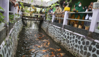 Komunitas di Banyuwangi Keren Banget, Ubah Sungai jadi Kolam Ikan - GenPI.co Jatim