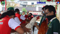 Ayam Hias Ekor Lidi Bukan Sembarang Bangkok, Punya Harga Bagus - GenPI.co Jatim