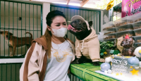 Viral Jagal Anjing, Dog Lovers Surabaya Lakukan Aksi Nyata - GenPI.co Jatim