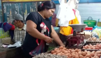 Harga Telur Ayam di Jember Belum Stabil, Pedagang Pusing - GenPI.co Jatim