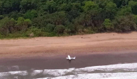 Pesawat Cessna Mendarat Darurat di Taman Nasional Alas Purwo - GenPI.co Jatim