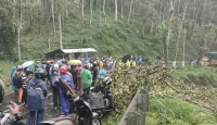 Pohon Tumbang di Jalur Malang-Kediri Timbulkan Korban, Ya Ampun - GenPI.co Jatim