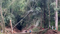 Tanah Longsor Putus Akses 2 Kecamatan di Ponorogo, Warga Swadaya Bangun Jembatan - GenPI.co Jatim