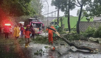 Cuaca Ekstrem di Malang Sebabkan Banjir Hingga Pohon Tumbang - GenPI.co Jatim