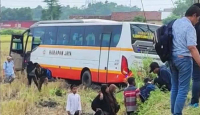 Kronologi Bus Harapan Jaya Terperosok Sawah, Penumpang Histeris - GenPI.co Jatim