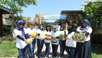 Kembangkan Urban Farming di Lahan Sempit, BRI Peduli Inspirasi Bertani di Kota (BRInita) - GenPI.co Jatim