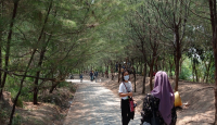 Daftar 3 Wisata Alam di Surabaya, Penuh Tantangan - GenPI.co Jatim