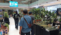 Meriahnya Exotic Plants Surabaya, Grand City Mall Mendadak Hijau - GenPI.co Jatim