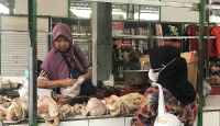 Harga Daging Ayam Terbaru, Mak-Mak di Malang Harap Bersabar - GenPI.co Jatim