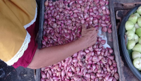 Pedagang Bawang Merah Kurangi Pasokan, Imbas Kenaikan Harga - GenPI.co Jatim