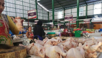 Bu, Harga Daging Ayam di Malang Sudah Turun Loh, jadi Sebegini - GenPI.co Jatim