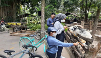 Proteksi Satwa dari PMK, GL Zoo Yogyakarta Batasi Interaksi - GenPI.co Jogja