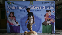 Program Yogyakarta Ini Top, Pemilik Anjing dan Kucing Pasti Suka - GenPI.co Jogja